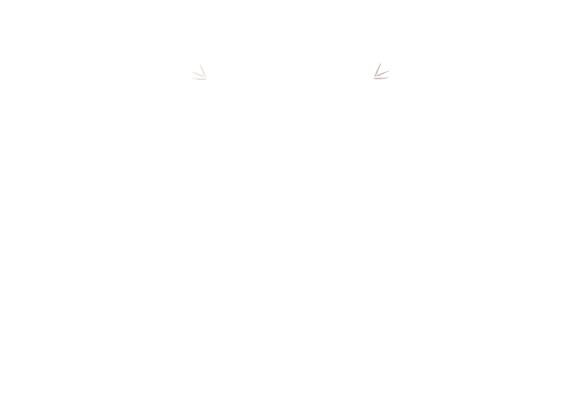 Calao Bali